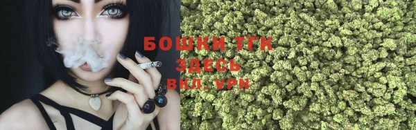 хмурый Горнозаводск